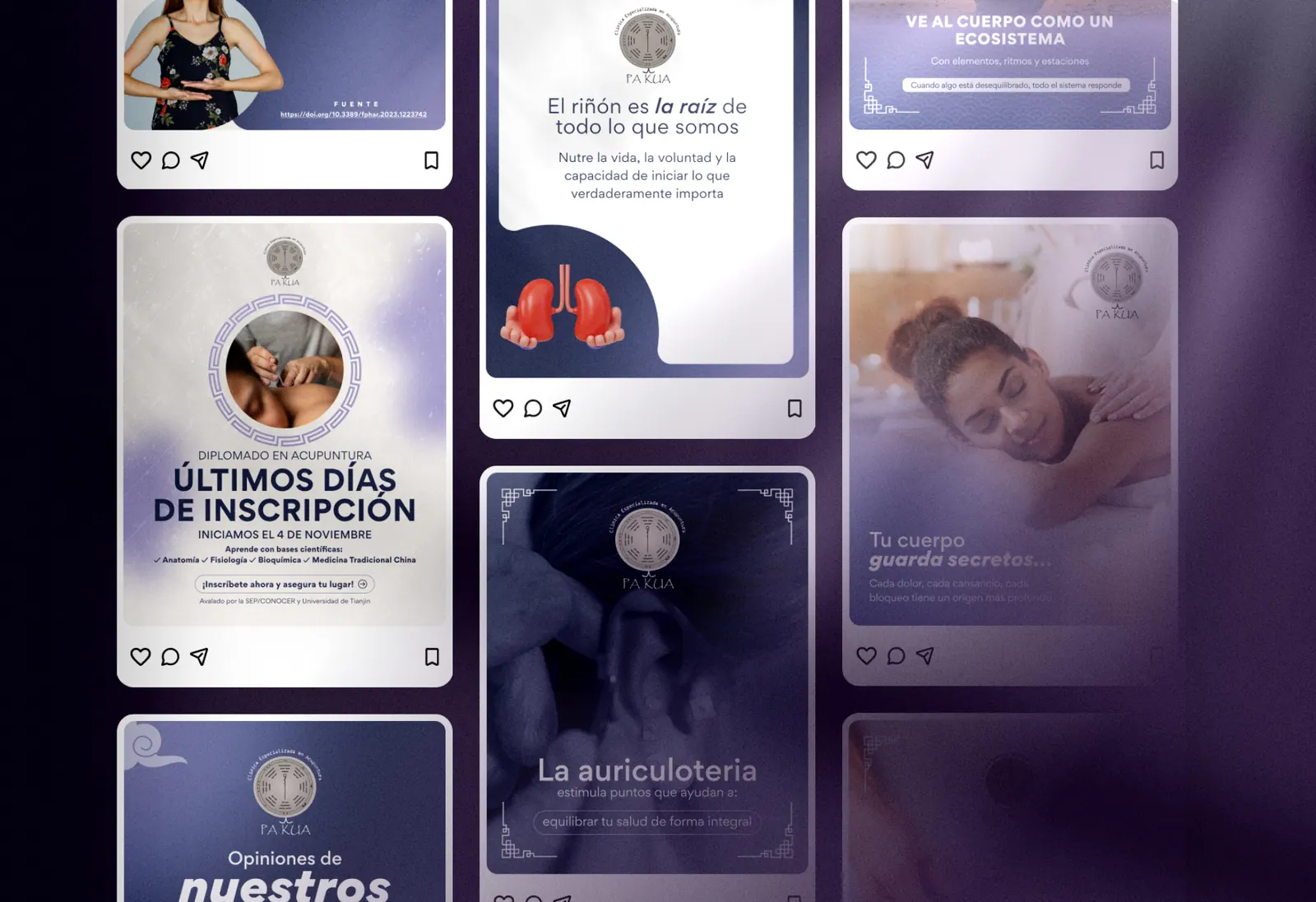 Publicaciones de Instagram de Pa Kua con diseños en tonos morados sobre diplomados y acupuntura.